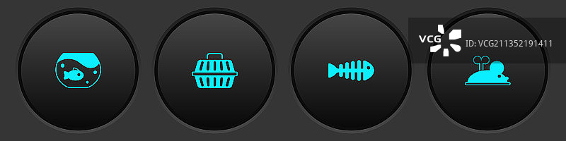 带鱼的水族箱、宠物箱和鱼素材图片素材