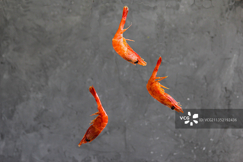 深色背景上的飞翔的虾图片素材