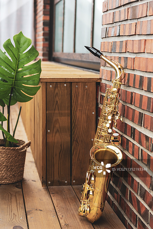 砖墙和植物旁的喇叭图片素材