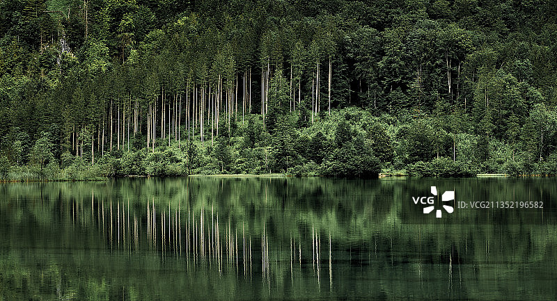 奥地利阿尔姆湖森林风景图片素材