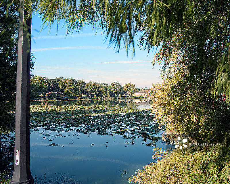 天空映衬下的美国佛罗里达莱克兰湖泊美景图片素材