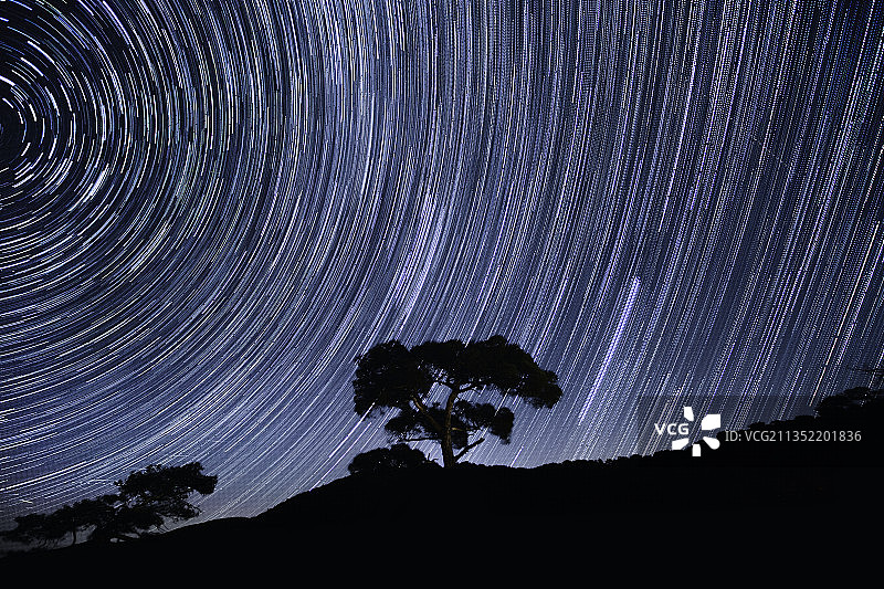 夜晚树木剪影的低角度视图，塞浦路斯特罗多斯山图片素材
