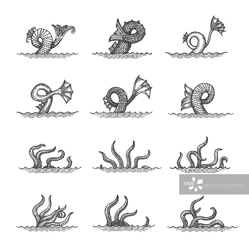 章鱼触手怪物海妖尾须草图图片素材