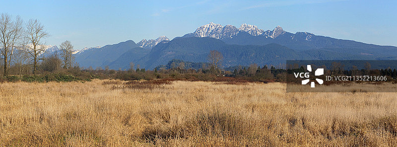 加拿大大不列颠哥伦比亚省皮特河的田野山景图片素材