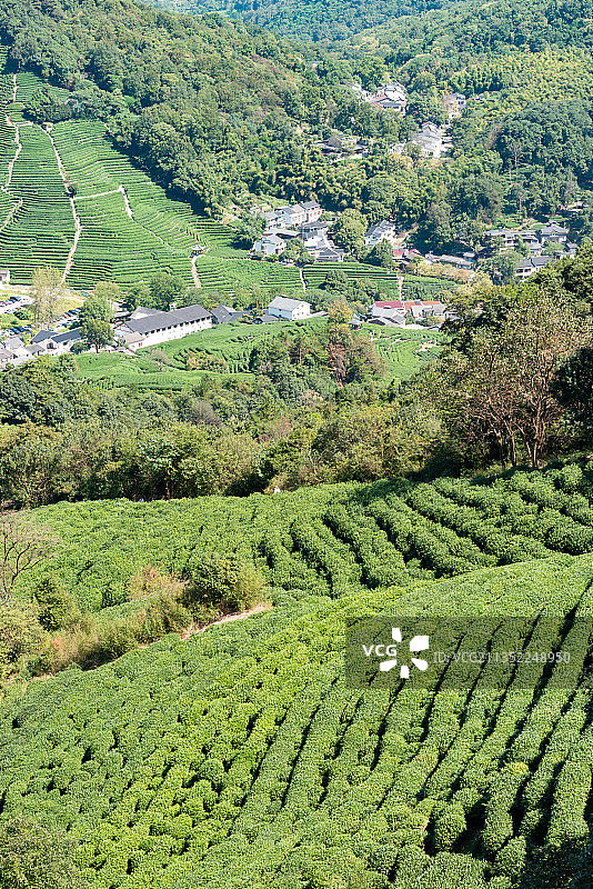 杭州西湖十里锒铛登山徒步龙井茶园图片素材