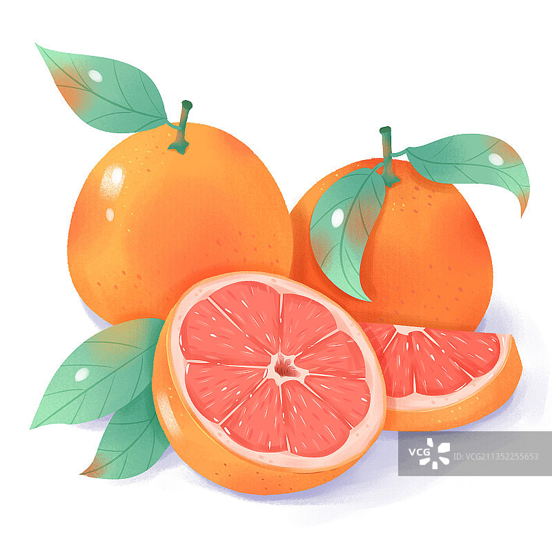 水果西柚插画图片素材