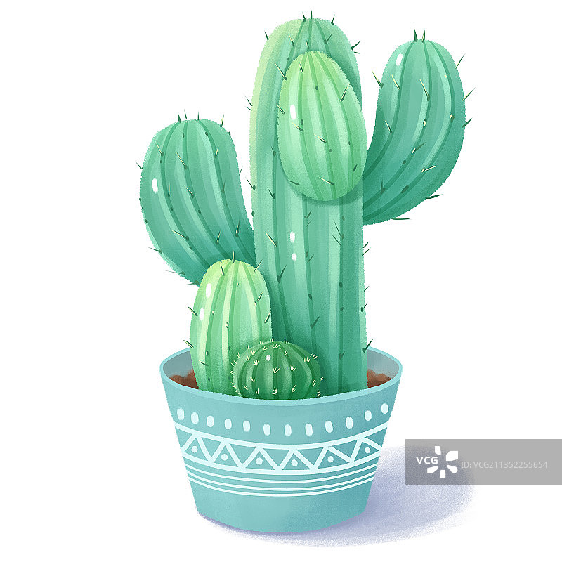 仙人掌盆栽插画图片素材