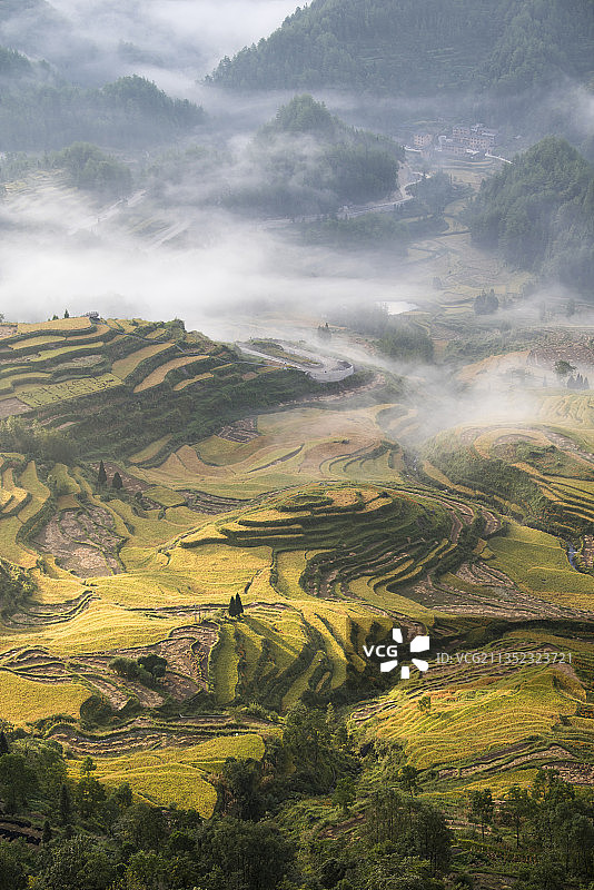 秋季重庆酉阳花田梯田自然风光图片素材