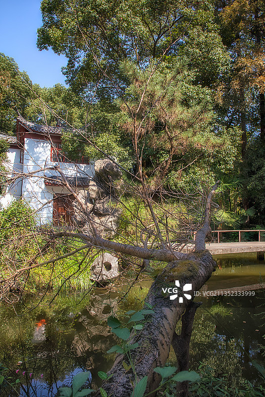 塔山公园一角图片素材