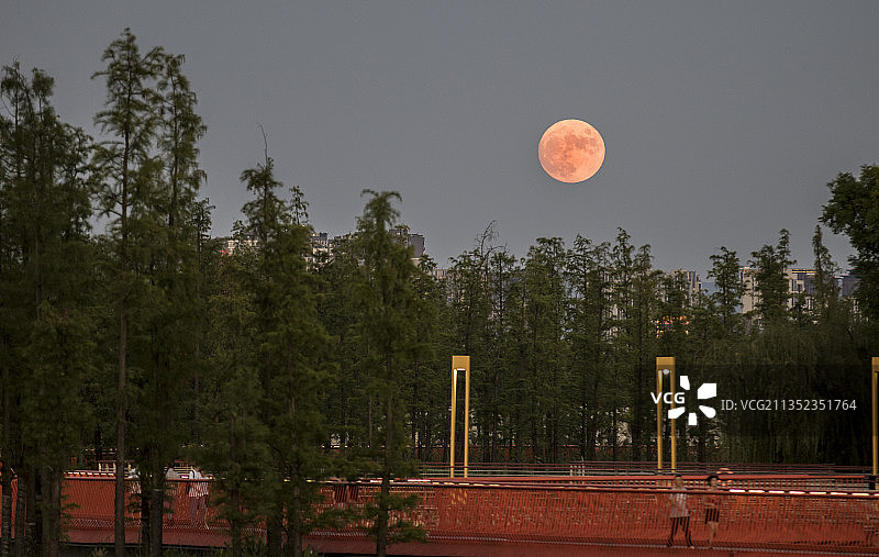 红月图片素材