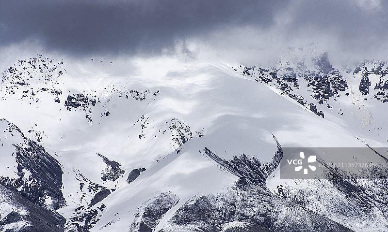 雪山卧牛图片素材