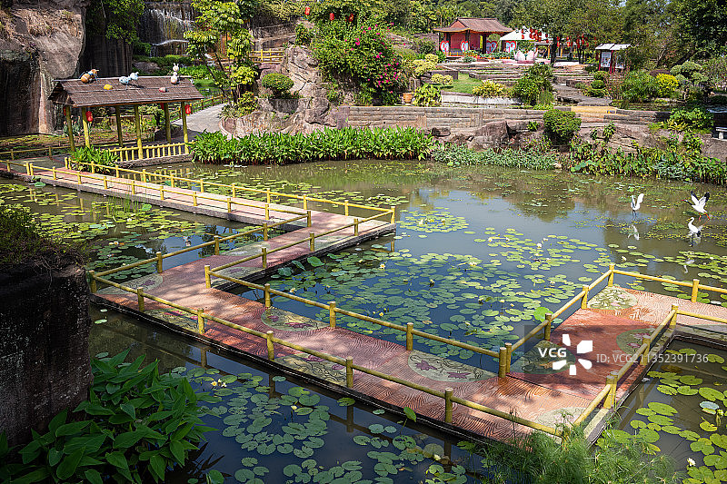 莲花山, 番禺, 广州, 莲花池图片素材
