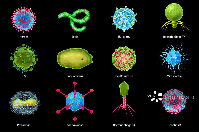 病毒真实效果合集图片素材