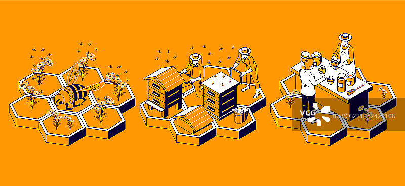 养蜂蜂窝2.5D等距信息图图片素材