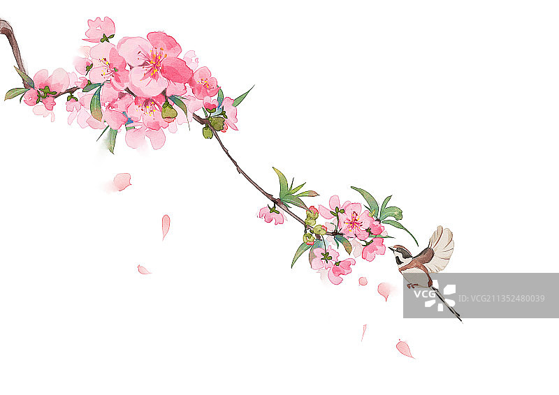 古风水彩桃花图片素材