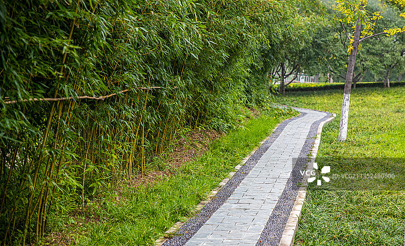 城市园林中的弯曲小路图片素材