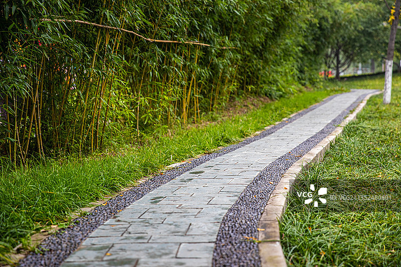 城市园林中的弯曲小路图片素材