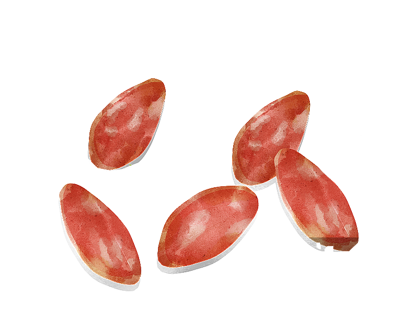 腊肠插画元素图片素材