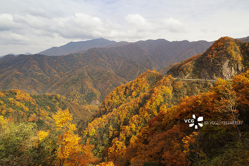 秋天高视角下四川光雾山景区群山红叶图片素材