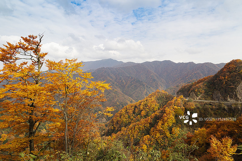 秋天高视角下四川光雾山景区群山红叶图片素材