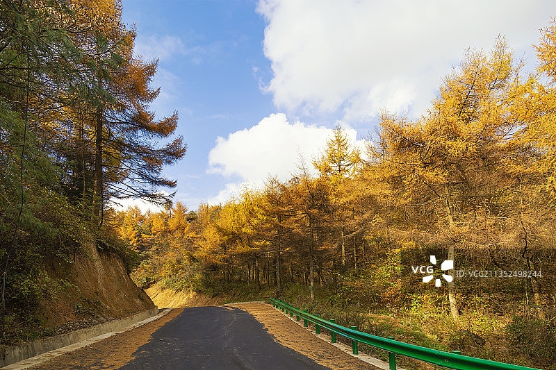 低视角下穿行在金秋红叶中的四川光雾山景区公路图片素材