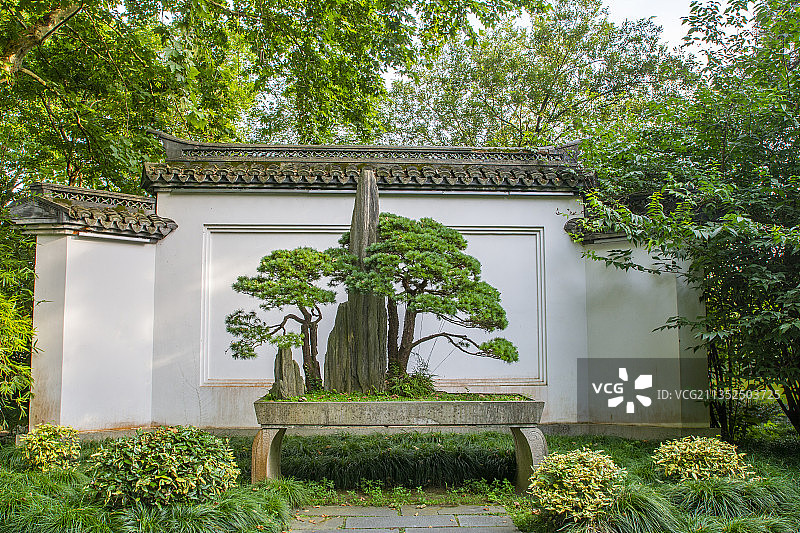 杭州西湖 传统园林建筑 江南园林景观 照壁影壁江南庭院盆景图片素材