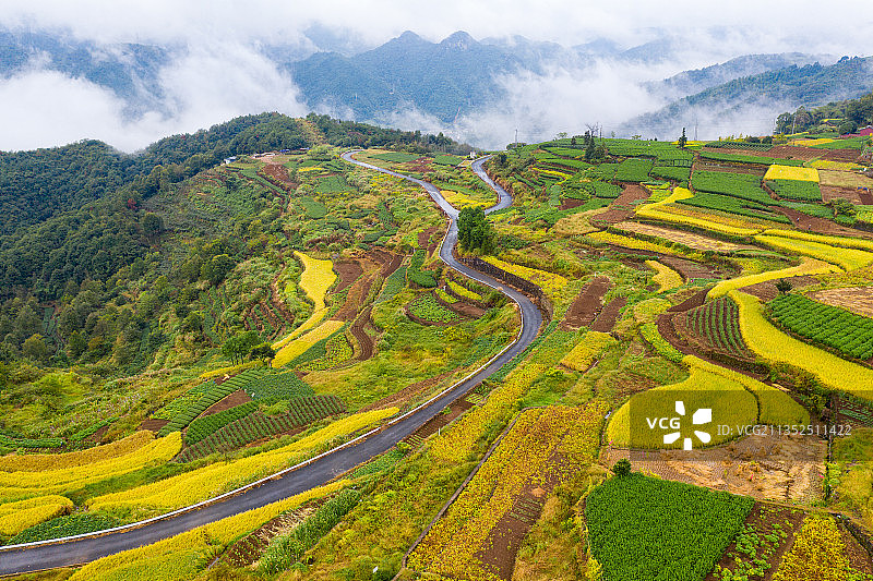 宁波市宁海县桑洲七彩田园图片素材