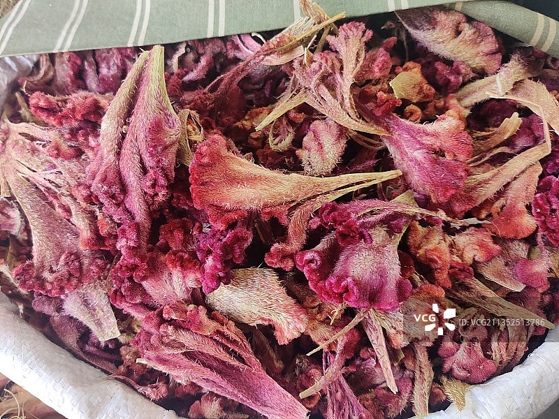 在克什米尔作为食品着色香料出售的鸡冠花或青葙植物图片素材