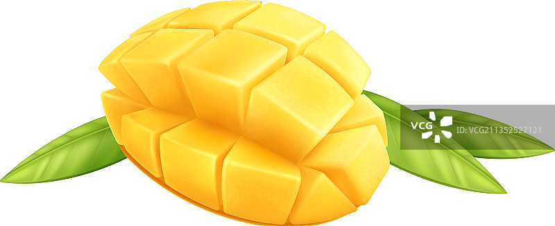 芒果写实图片素材