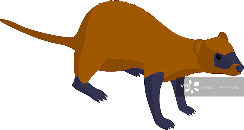 2.5D黄鼠狼图片素材