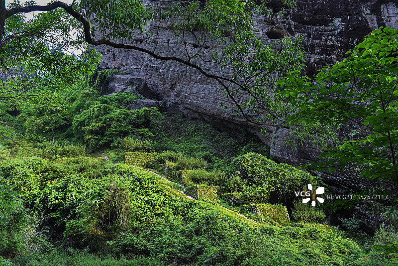 武夷山自然风景区图片素材