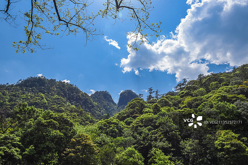 武夷山自然风景区图片素材