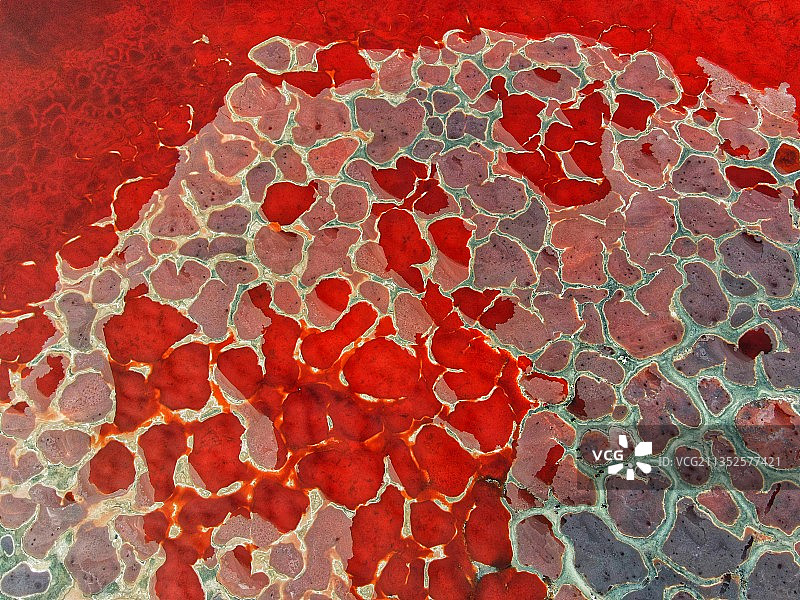 腾格里沙漠---乌兰湖湖水图片素材