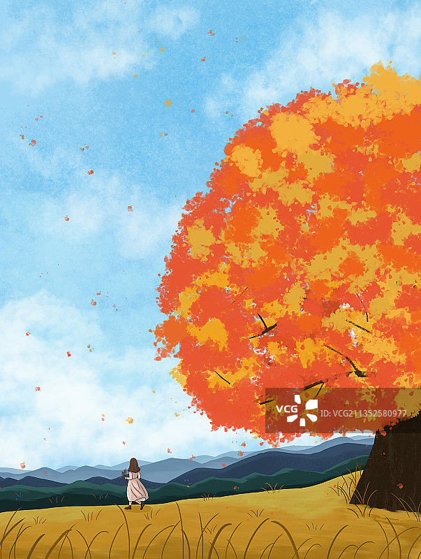 秋天的红叶下图片素材