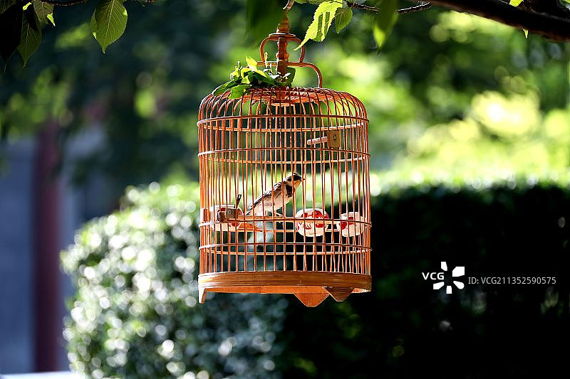 牢笼生活图片素材