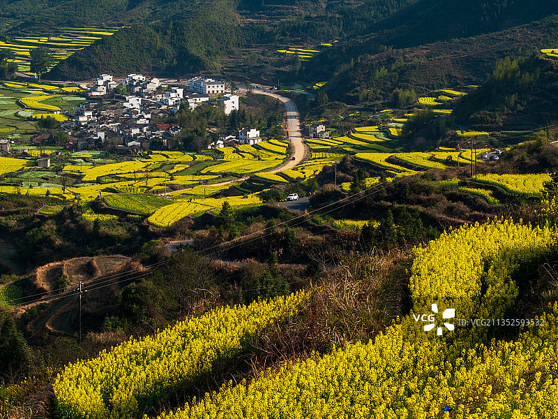 江西婺源的春天图片素材