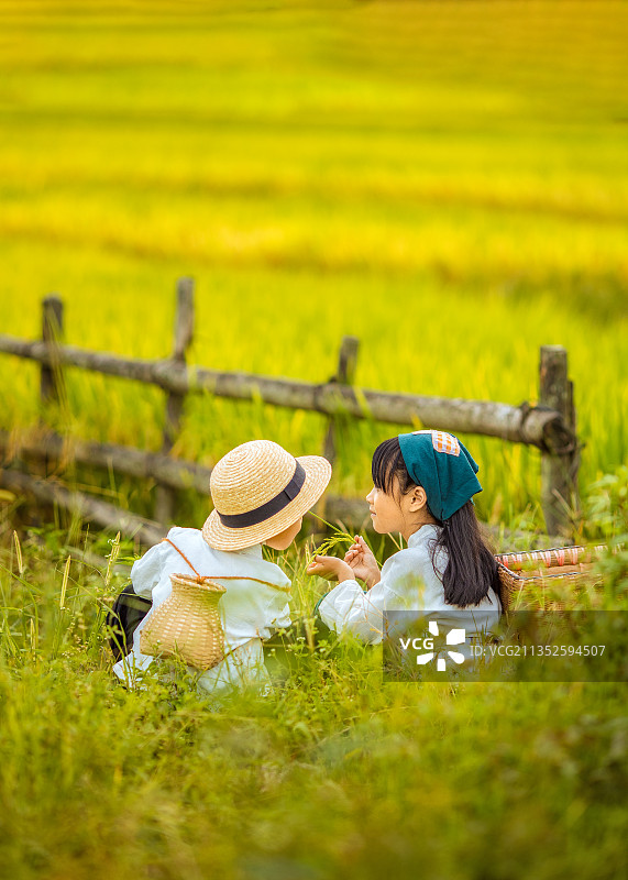 姐弟俩在秋天的稻田里窃窃私语图片素材