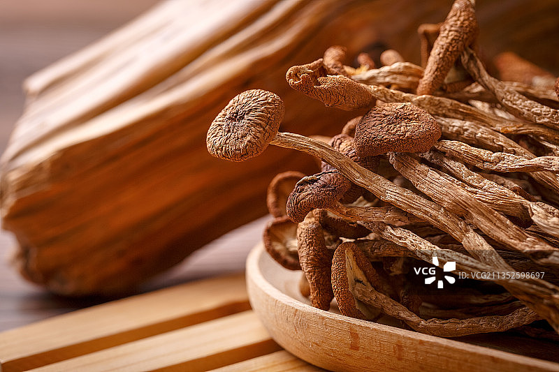 菌 茶树菇图片素材