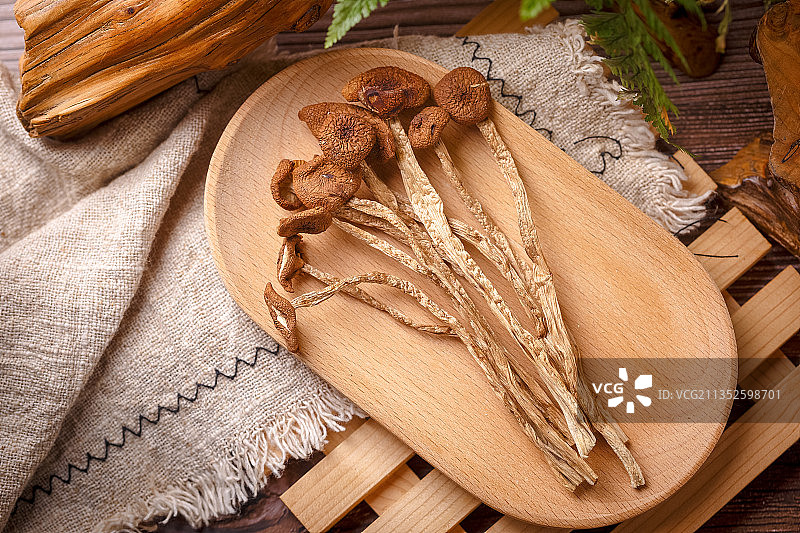 菌 茶树菇图片素材