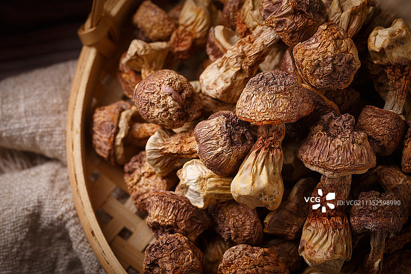 菌 干货图片素材