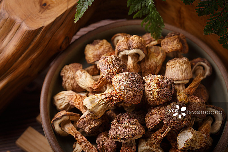 菌 干货图片素材