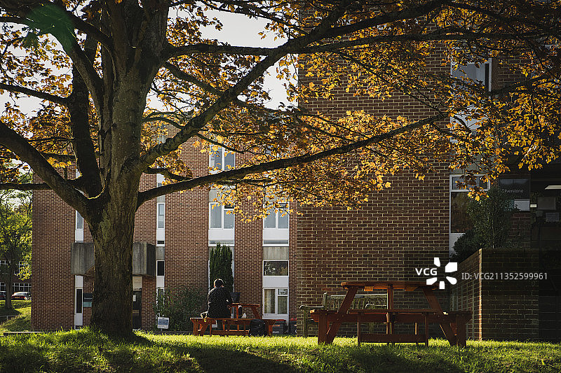 英国萨塞克斯大学的秋图片素材