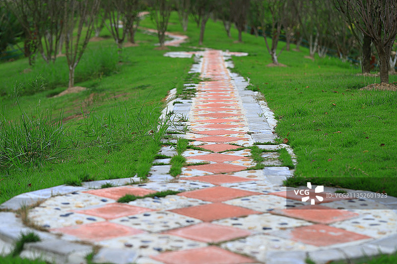 公园小路图片素材