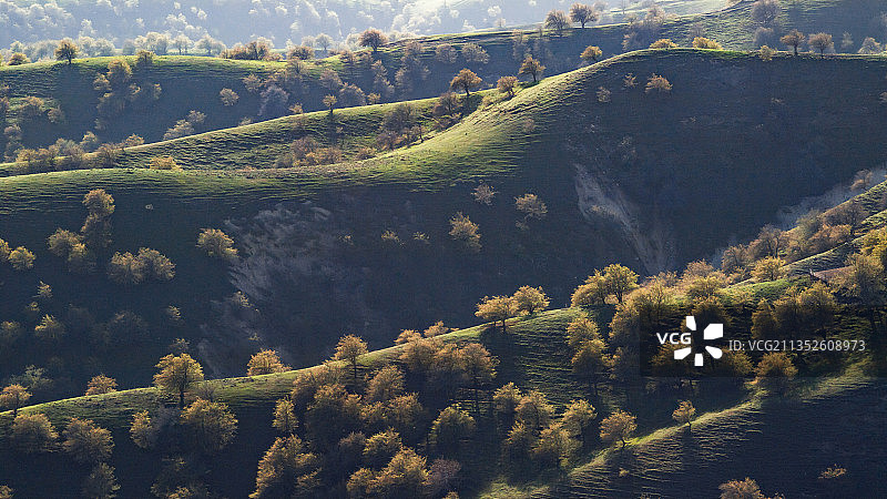 新疆福寿山大西沟图片素材