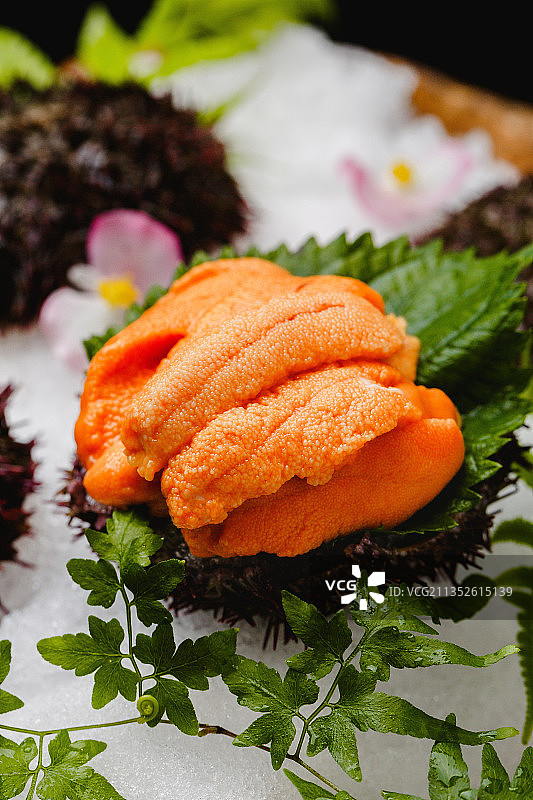 海胆，海胆饭，饭，日料，生吃，海鲜图片素材