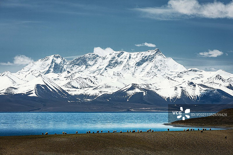 牧羊纳木错图片素材