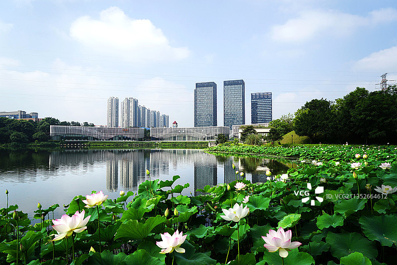 重庆棕榈泉生态公园图片素材