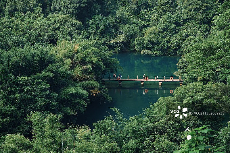 鼎湖山绿宝石图片素材