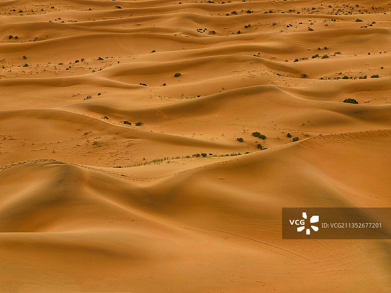 腾格里沙漠图片素材