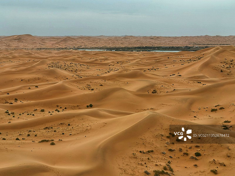 腾格里沙漠---沙漠绿洲图片素材